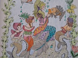 whatsapp bild 2025-09-02 um 12.49.00_0b4c4310